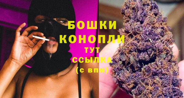 гашик Горно-Алтайск