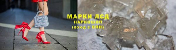 мяу мяу мука Горняк