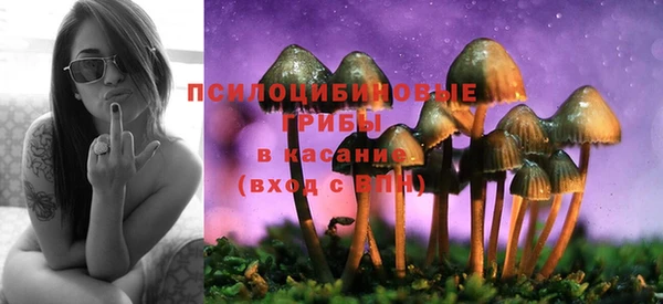 мяу мяу мука Горняк