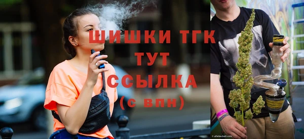 гашик Горно-Алтайск