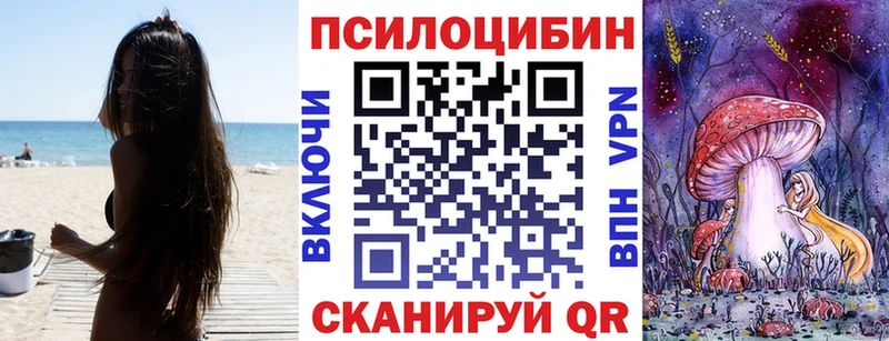 omg маркетплейс  Дмитров  Галлюциногенные грибы Cubensis 