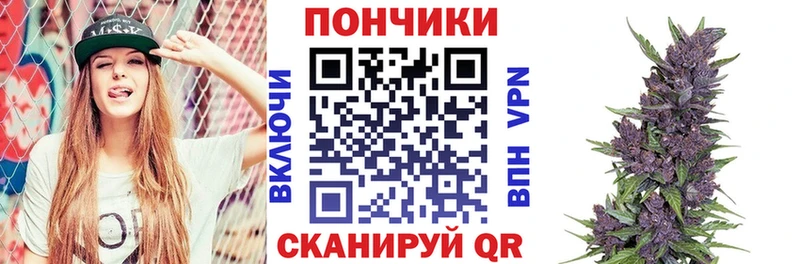 Марихуана план  Дмитров 